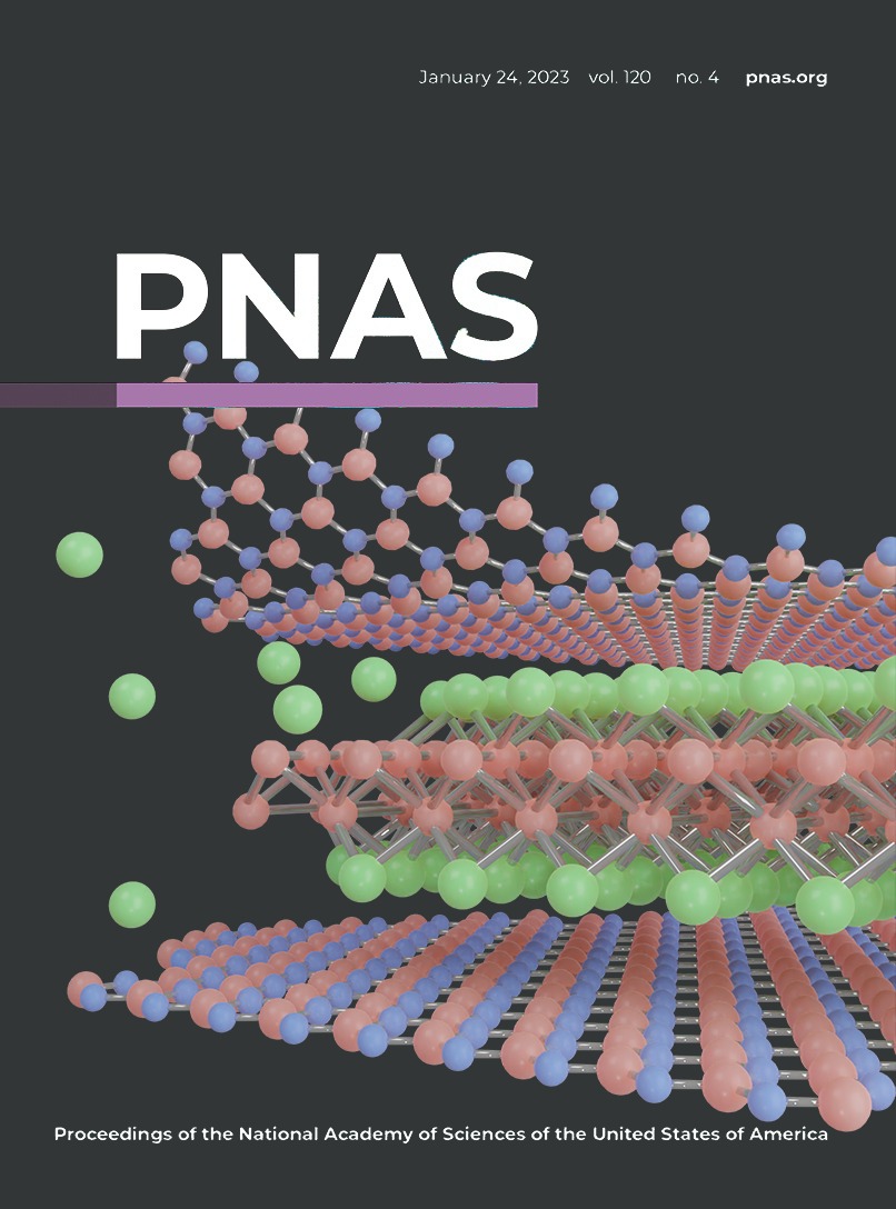 B-C-N quantum materials